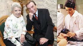 Setkání dvojice z Nemocnice na kraji města: Štěpánkovou a Němce svedl dohromady Alzheimer