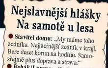 František Řehák (90) alias líný zedník Lorenc ze "Samoty u lesa": Co mu lidé říkají na ulici?