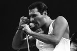 Freddie Mercury by oslavil 73. narozeniny