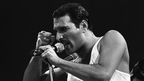 Freddie Mercury by oslavil 73. narozeniny