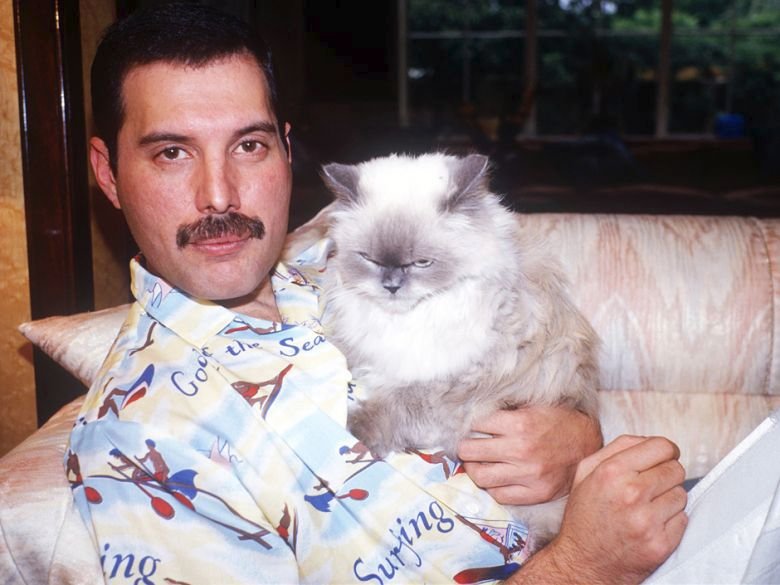 Freddie Mercury byl velkým milovníkem koček