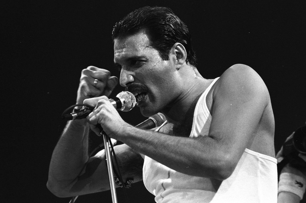 Freddie Mercury by oslavil 73. narozeniny.