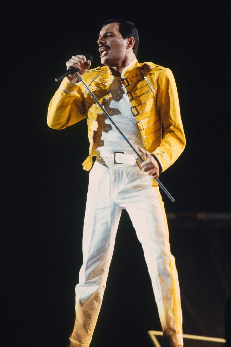 Na AIDS zemřel v roce 1991 také zpěvák skupiny Queen Freddie Mercury.