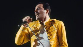 Na AIDS zemřel v roce  1991 také zpěvák skupiny Queen Freddie Mercury