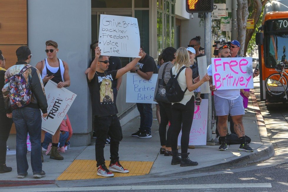 Free Britney protest v Los Angeles