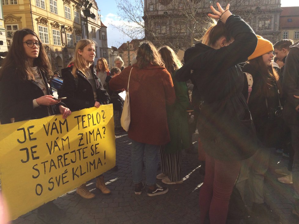 Stávka studentů Fridays for Future v březnu 2019