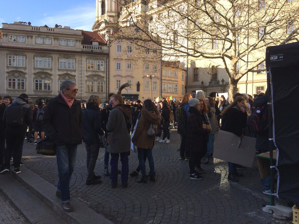 Stávka studentů Fridays for Future v březnu 2019