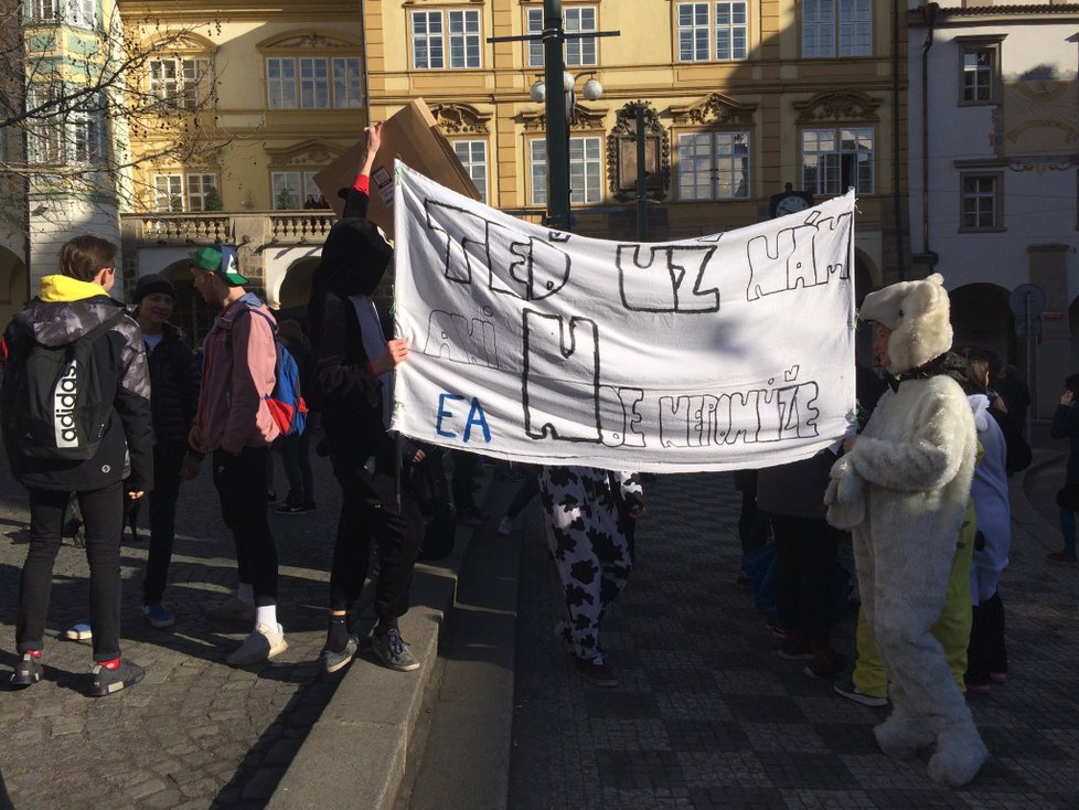 Stávka studentů Fridays for Future, 15. března 2019