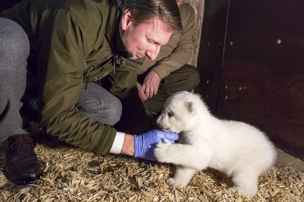 V berlínské zoo uhynulo čtyřměsíční medvídě Fritz.