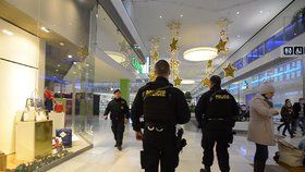 Ozbrojenci hlídali obchodní centrum i na Štědrý den.