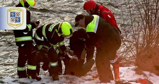 Zdrogovaný muž sjížděl řeku Ostravici ve Frýdku-Místku v nákupním vozíku. Zdrogovaný muž sjížděl řeku Ostravici ve Frýdku-Místku v nákupním vozíku.