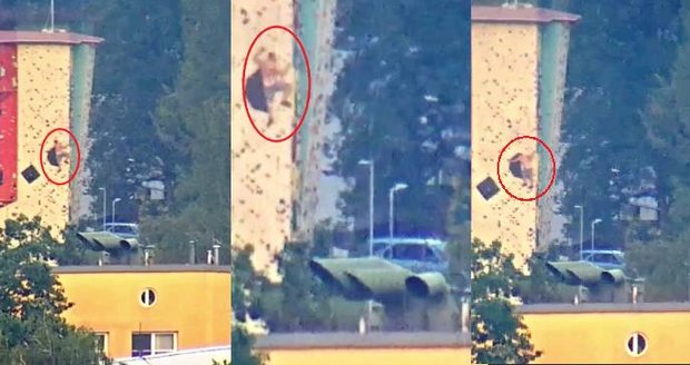 Ochmelka vylezl ve Frýdku-Místku na 15 metrů vysokou lezeckou stěnu, dolů mu to šlo těžko. Ochmelka vylezl ve Frýdku-Místku na 15 metrů vysokou lezeckou stěnu, dolů mu to šlo těžko.