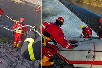Tragická smrt tří mladíků ve Frýdlantu: Zemřeli tři sportovci, říká Eliška