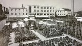 Thomayerka v Praze: Nemocnice s bohatou historií. Co tu dělal Masaryk? Kdo byl Thomayer? 