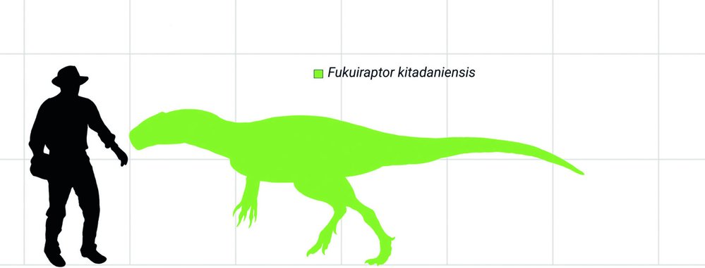 Porovnání velikosti dinosaura fukuiraptora s člověkem
