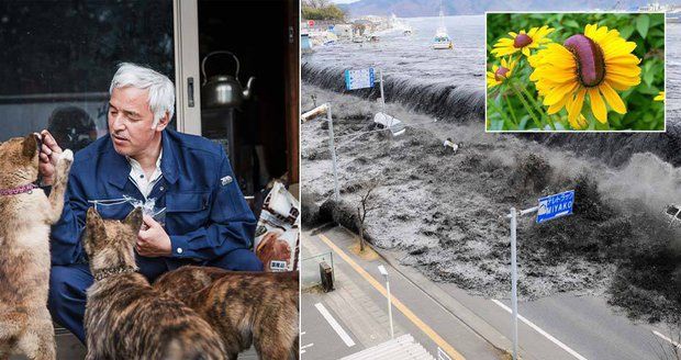 5 let od ničivého zemětřesení: Fukušima zabíjí dodnes