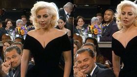 DiCaprio se vysmál Lady Gaga, ta do něj vrazila! Jeho výraz? Ten je konečně na Oscara!