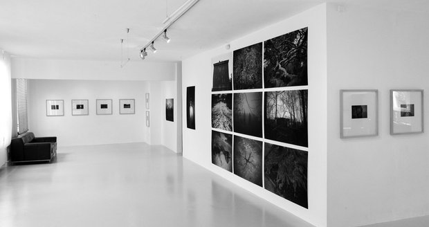 Galerie Krystal, kterou má Soňa v centru Havířova, se soustředí především na podporu současného umění, designu a fotografie.