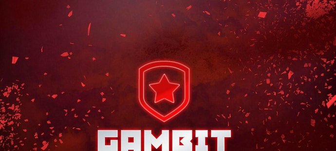 Ruská organizace Gambit