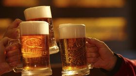 Gambrinus poprvé oslaví chmelobraní ve velkém: Všechno pivo do hospod uvařil z čerstvého chmele