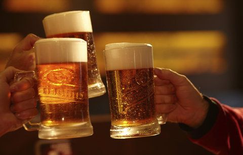 Gambrinus poprvé oslaví chmelobraní ve velkém: Všechno pivo do hospod uvařil z čerstvého chmele