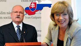 Slovensko volí svého prezidenta+