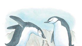 Kniha vypráví příběh o skutečné tučňáčí rodině a je obohacena velmi povedenými ilustracemi Henryho Colea.