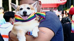 Gay Pride pochodu v tchajwanské metropoli Tchaj-pej se zúčastnilo kolem 100 tisíc lidí (31. 10. 2020).