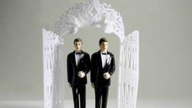 Ilustrační foto. Budou moci homosexuálové v USA uzavřít manželský svazek? Zatím ne. Ministerstvo spravedlnosti dbá na dodržování nynějšího zákona, dokud ho ústavní soud nezruší