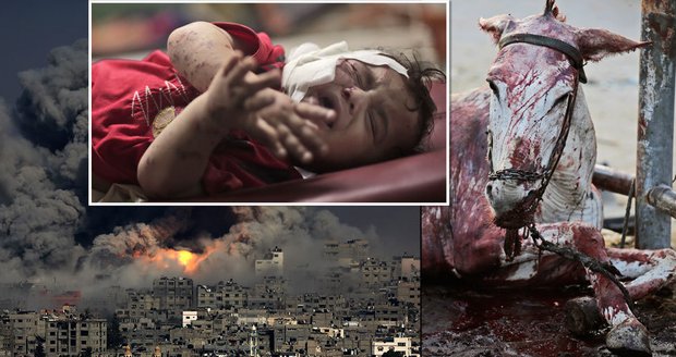 Pásmo Gazy, pásmo smrti: 23 dnů útoků si vyžádalo 1300 obětí