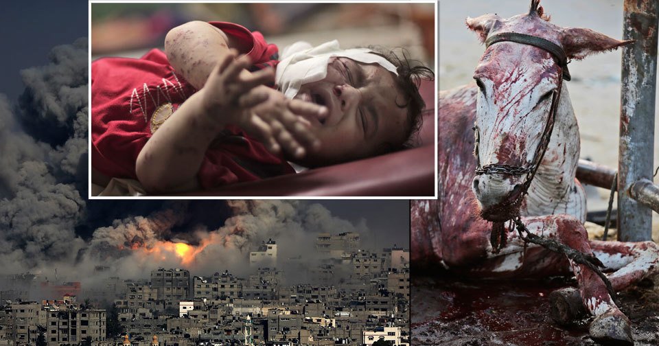 Bomby v pásmu Gazy padají na školy i mešity.