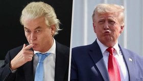 Vítěz nizozemských voleb Geert Wilders