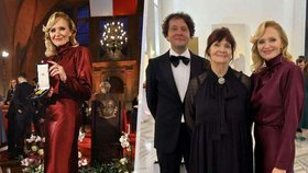 Po Bartoškovi či Trojanovi metál pro Geislerovou: „Nepopsatelně krásný!“ Na Hrad šla i s maminkou