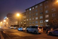 Drsná partnerská potyčka v Písku: Muž se snažil svou ex vyhodit z balkonu!