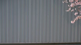 Genesis Electrified GV70 Genesis Electrified GV70