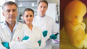 Britští vědci v roli Frankensteina: Budou upravovat lidská embrya.