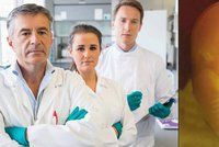 Britští vědci v roli Frankensteina: Budou upravovat lidská embrya