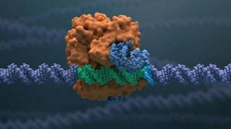 Ve Švýcarsku začali léčit editací genů. Je to poprvé, co se technika CRISPR aplikuje v Evropě