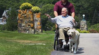 Dojemné fotografie asistenčního psa zemřelého prezidenta Bushe. Labrador Sully hlídá i rakev