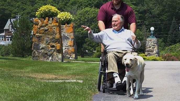 Labrador Sully, asistenční pes zemřelého prezidenta George Bushe staršího, bude teď pomáhat zraněným vojákům.