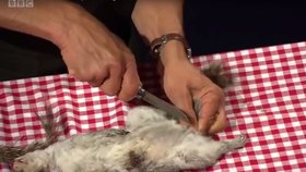 Ekologický aktivista George Monbiot usmažil veverku v přímém přenosu.