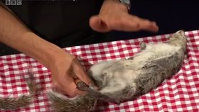 Ekologický aktivista George Monbiot usmažil veverku v přímém přenosu.
