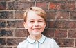 Oficiální narozeninová fotka prince George, který slavil páté narozeniny.