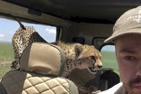 „Nejděsivější moment v životě.“ Gepard turistům na safari skočil do jeepu