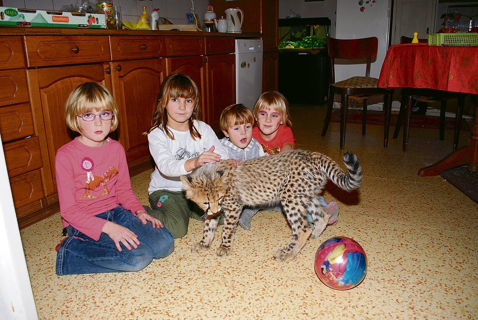 Mzuri a její kamarádi Maruška (6), Eliška (6), Mikulášek (4) a Anička (4).