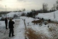 Drama v zoo: Gepard přeskočil plot kvůli psovi!