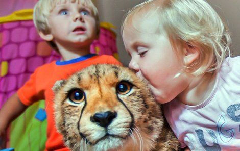Roční Kayla má za nejlepšího kamaráda malého geparda.