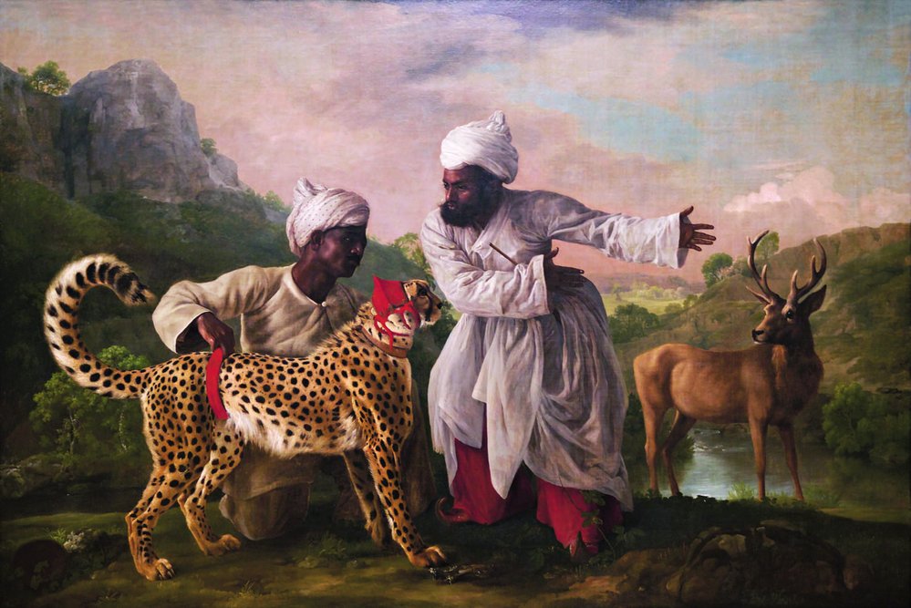 Ochočený gepard byl kočičím loveckým chrtem mahárádžů