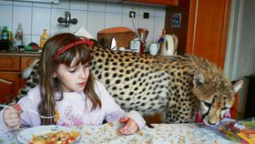 Eliška (6) si musí kung pao na talíři pořádně hlídat