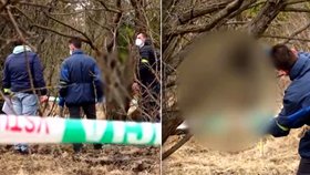 Krutý sadista utýral psa k smrti: Půlku jeho znetvořeného těla pak pověsil na strom